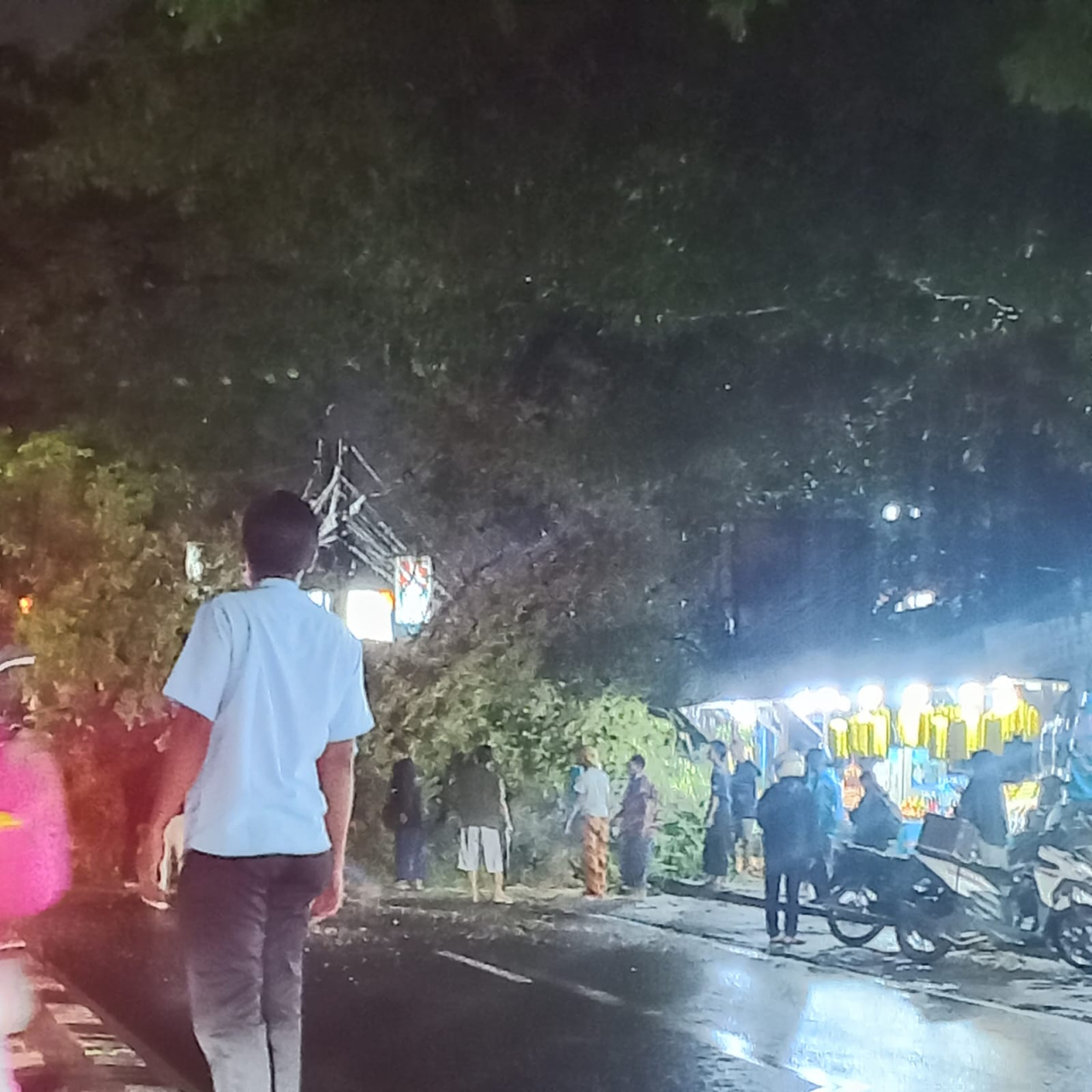 Dua Orang Pengendara Meninggal Tertimpa Pohon Tumbang di Jalan Raya Karanglo