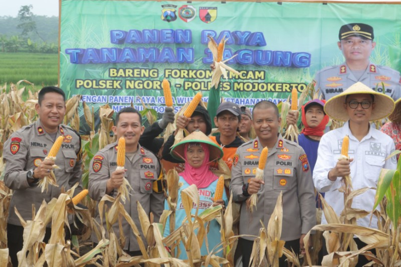 Kapolres Mojokerto AKBP Ihram Kustarto usai panen jagung bersama petani dukung ketahanan pangan. (ist)