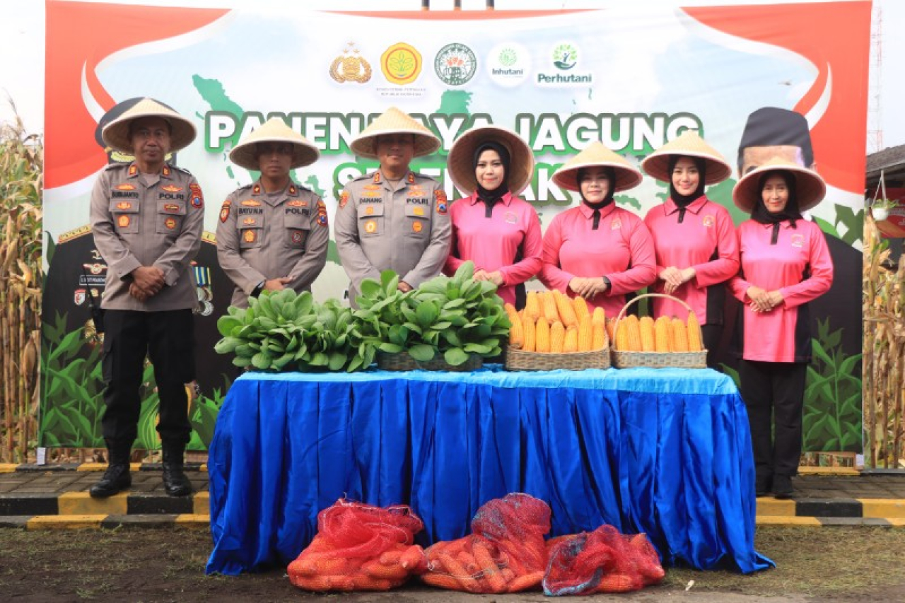 Polres Malang panen jagung, dukung katahanan pangan. (ist)