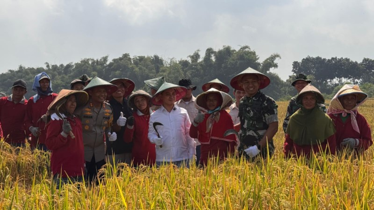 Bupati Mojokerto Gus Barra memulai panen raya padi di Desa Kalen Kecamatan Dlanggu. (ist)