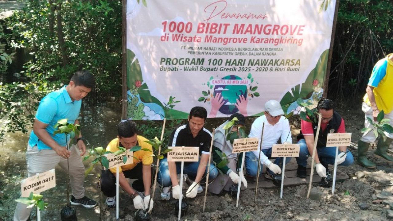 Wakil Bupati, menejer Wilmar, Kadis LH, Kasie Pidsus Kajari menanam mangrove. (ist)