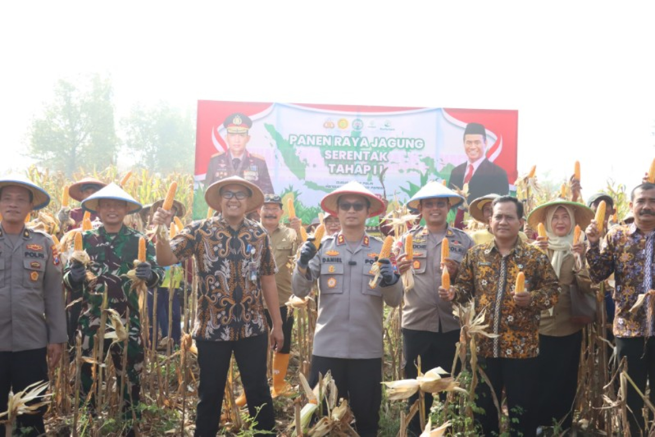Polres Mojokerto Kota Panen Raya Jagung, Perkuat Ketahanan Pangan Nasional