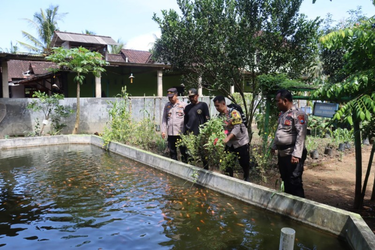 Kolam ikan sebagai upaya pemenuhan gizi warga (P2B) hasil sinergis antara Polres Pacitan dengan pemdes. (ist)