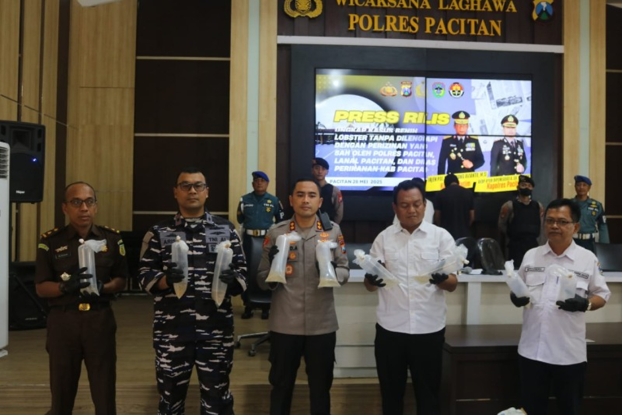 Kapolres Pacitan AKBP Ayub Diponegoro Azhar mengungkapkan terkait kasus penyelundupan benih boster. (ist)
