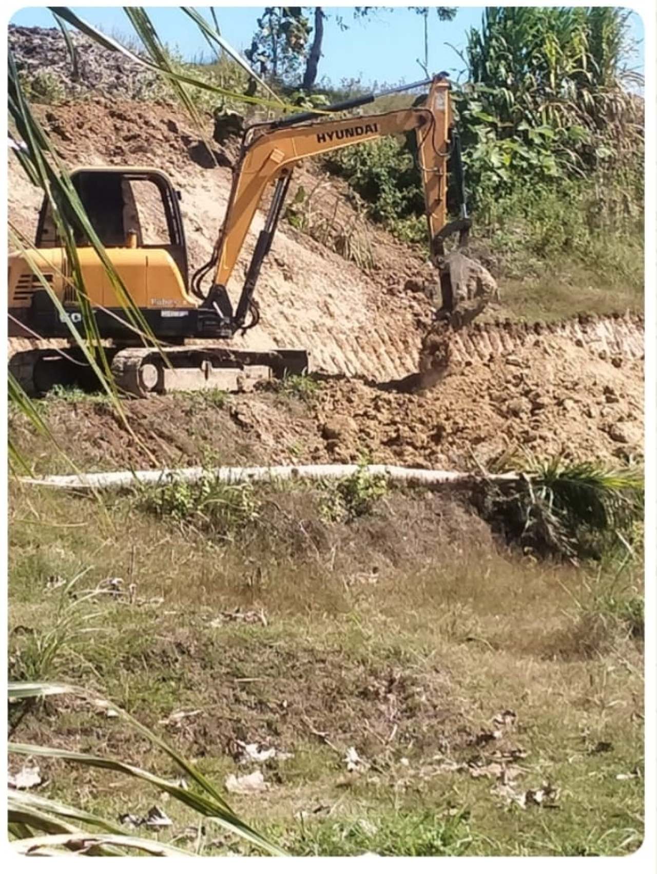 Progres awal dimulai dengan pembangunan kandang ayam di atas lahan desa seluas 0,5 hektare. Tampak alat bego sedang bekerja meratakan lahan untuk kandang. (ist)