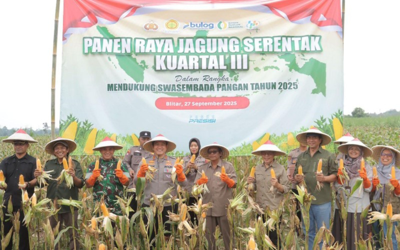 Polres Blitar bersama forkopimda dan instansi terkait saat panen raya Jagung kwartal III. (ist)