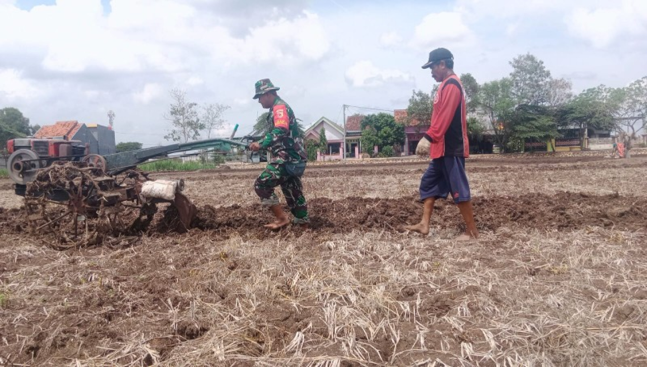 Serma Syahrul sedang membantu petani membajak sawah. (ist)