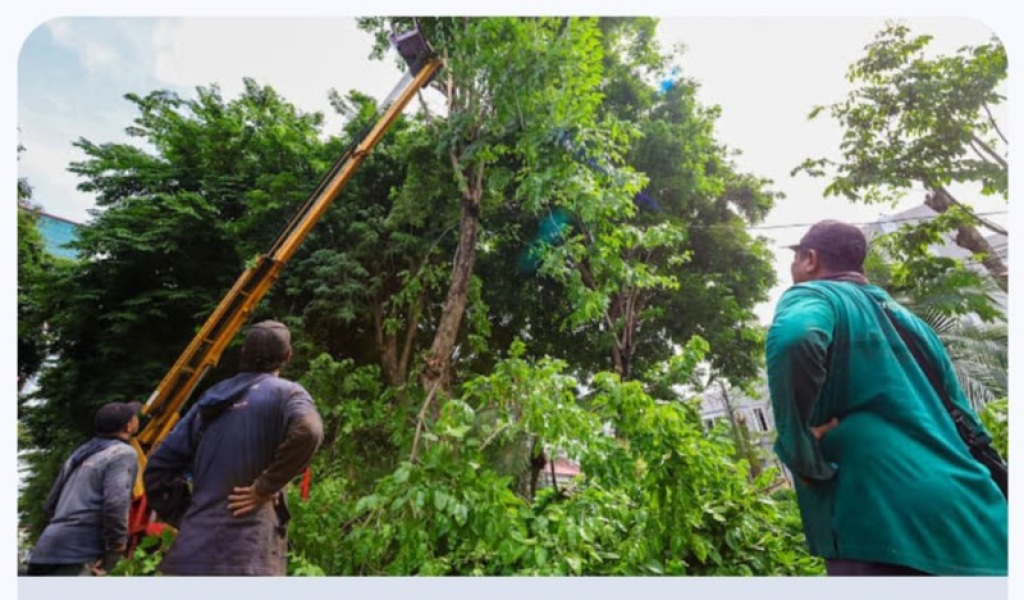 Dinas Lingkungan Hidup Kota Surabaya Bentuk Tujuh Rayon Taman untuk Penanganan Darurat