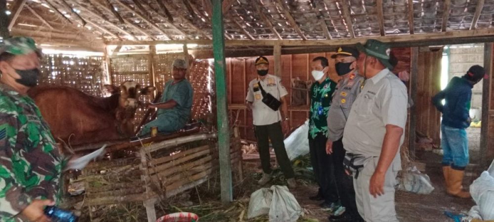 Petugas gabungan dari Polri dan TNI saat mrmantau kandang peternak di Bojonegoro. (Ist) 