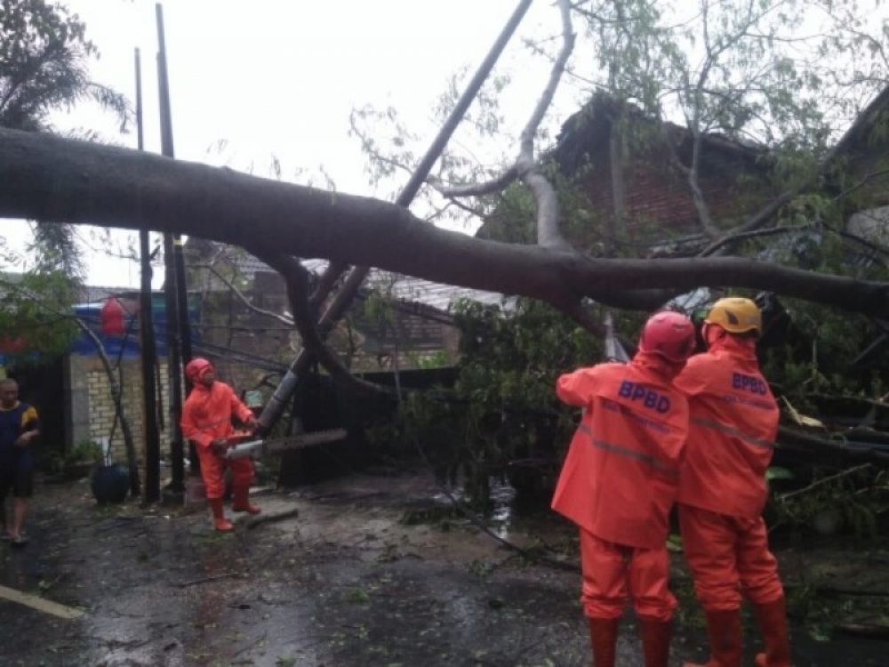 Petugas BPBD Bojonegoro gerak cepat mengevakuasi pohon tumbang. (Ist) 