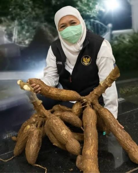 Gubernur Jawa Timur Khofifah Indar Parawansa pada Hari Pangan Sedunia, menjadikan Jawa Timur sebagai Lumbung Pangan Nasional. (Ist) 