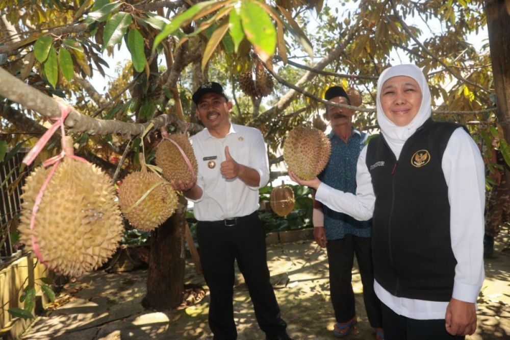 Gubernur Khofifah didampingi Bupati Ngawi sambangi Kampung Durian di Desa Girimulyo Ngawi. (Ist) 