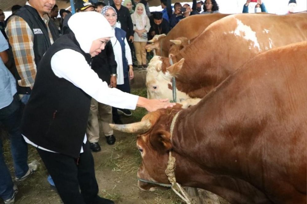 Gubernur Khofifah didampingi Wali Kota Malang Sutiaji dan Kadisnak Jatim meninjau RPH Kota Malang. (Ist) 