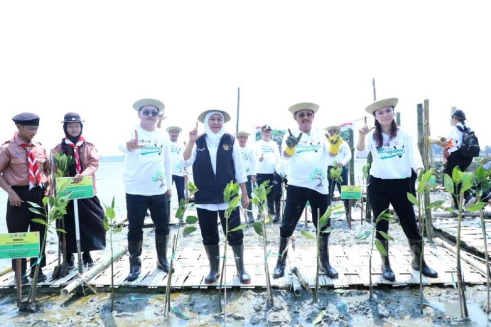 FKIJK Jawa, Timur bersama Gubernur Khofifah Indar Parawansa saat menanam 10 ribu bibit Mangrove di pantai Surabaya. (Ist) 