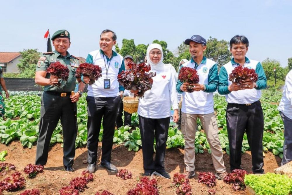 Dorong Peningkatan Ketahanan Pangan, Gubernur Khofifah Bersama Pangdivif 2 Kostrad Tanam 10 Ribu Pohon dan Panen Tanaman Holtikultura