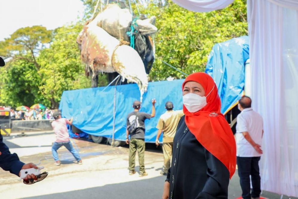 Gubernur Khofifah kawal langsung proses evaluasi bangkai Paus Balin do pantai Kenjeran Park untuk dibawa ke museum Jatim Park sebagai wisata edukasi. (Ist) 