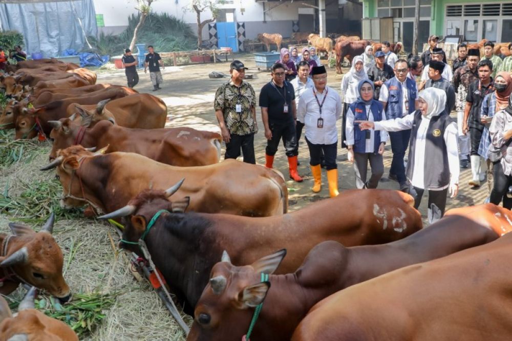 Gubernur Khofifah tinjau kandang ternak sapi jelang Hari Raya Idul Afha di RPH Pegirian Surabaya didampingi Kadisnak Jatim beserta rombongan. (Ist) 