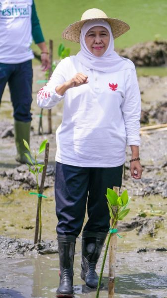 Gubernur Khofifah menanam bibit mangrove di Wisata Bahari Tlocor dan Pulau Lusi di Sidoarjo. (Ist) 
