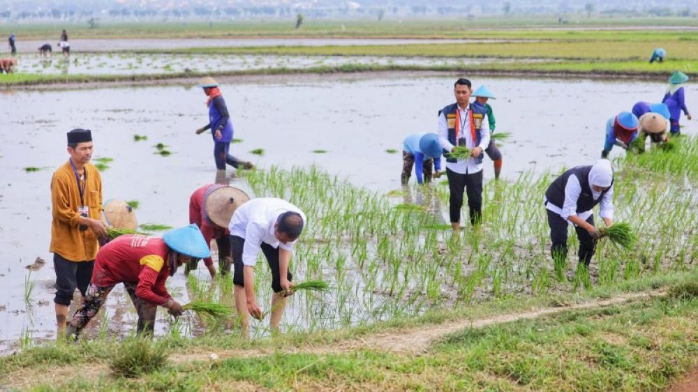Gubernur Khofifah nendampingi presiden Jokowi tanam padi di Tuban. (Ist) 