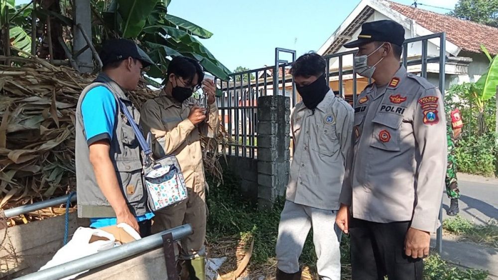 Kapolsek Papar AkP Chardi bersama Muspika dan petugas kesehatan saat meninjau vaksinasi hewan ternak di kandang milik warga . (Ist) 