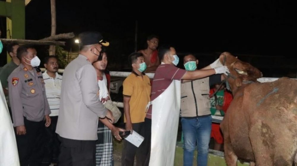 Kapokresta Sidoarjo, Kombes Pol Kusumo Wahyu Bintoro bersama tim dinas Peternakan Sidoarjo cek kondisi kesehatan sapi di RPH Krian. (Ist) 