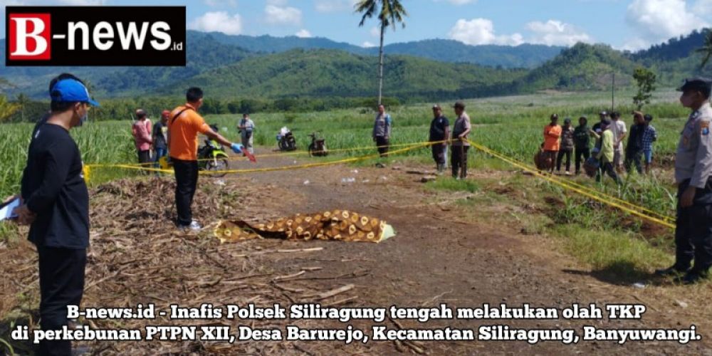 Pembacokan Misterius di Perkebunan PTPN XII Banyuwangi, Satu Orang Tewas dan Satu Kritis
