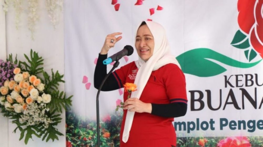 Indahnya Kebun Mawar Buana Indah di Margomulyo
