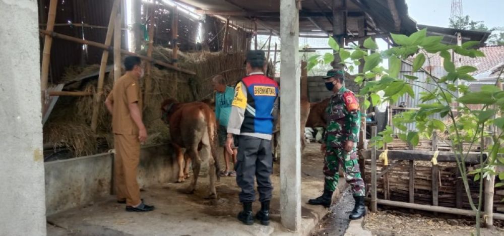 Anggota Polsek Purwoasri bersama Koramil setempat saat meninjau kandang ternak milik warga. (Ist) 
