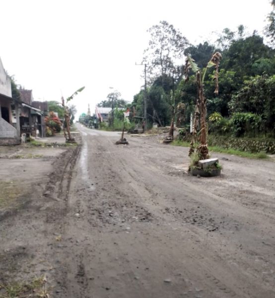 Kesal dengan jalan rusak, warga tanami dengan beberapa pohon pisang. (Ist) 
