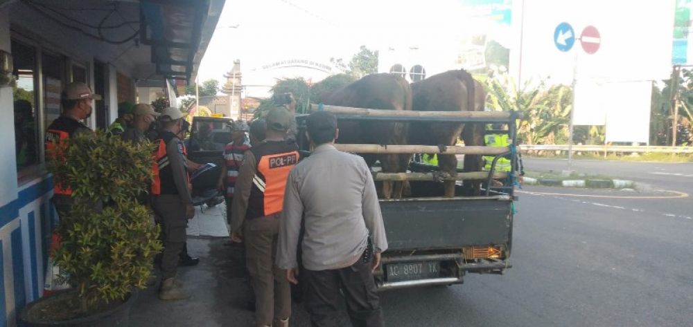 Aparat gabungan dari unsur kepolisian, (TNI/Polri) Satpol PP, petugas Dishub, serta masyarakat saat melakukan penyekatan jalan dan pemeriksaan mobilitas hewan ternak ke luar daerah di pertigaan Mengkreng. (Ist) 