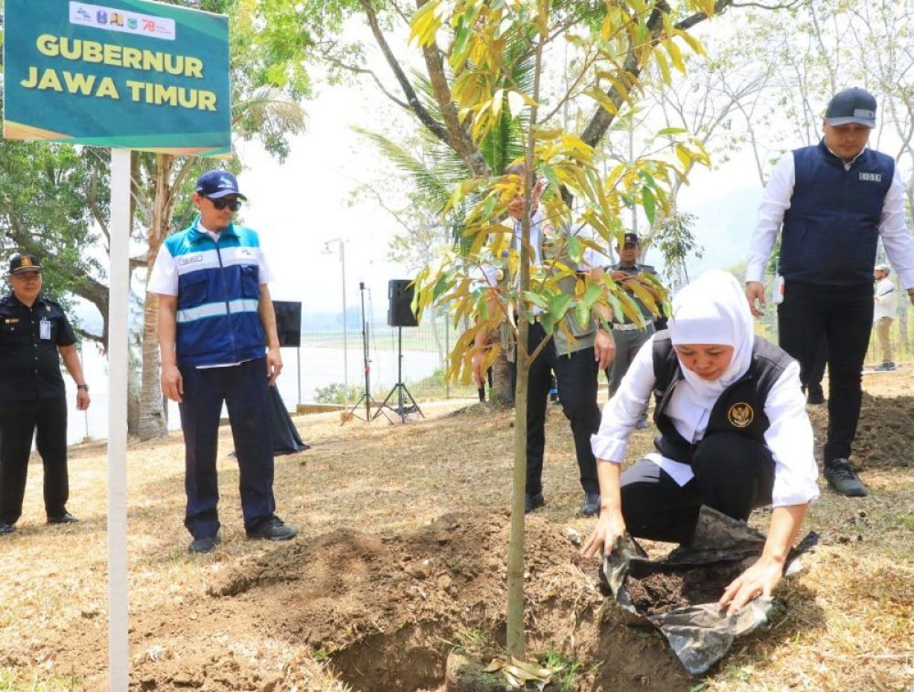 Gubernur Khofifah lakukan aksi tanam pohon Durian Monthong di kawasan bendungan Selorejo Kabupaten Malang. (Ist) 