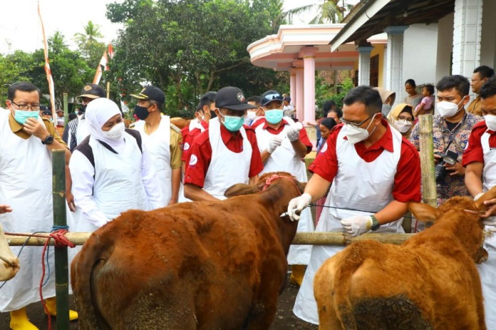 Gubernur Khofifah tinjau pelaksanaan PMK dosis dua di Jember. (Ist) 